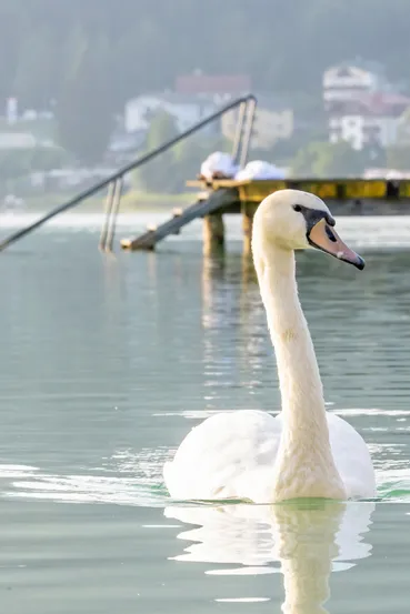 Aktivurlaub in Kärnten